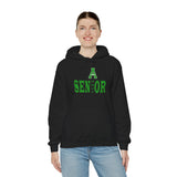 Ashbrook HS Senior 2027 Unisex Heavy Blend™ Hooded Sweatshirt