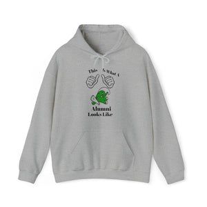 Ashbrook Alumni Unisex Heavy Blend™ Hooded Sweatshirt