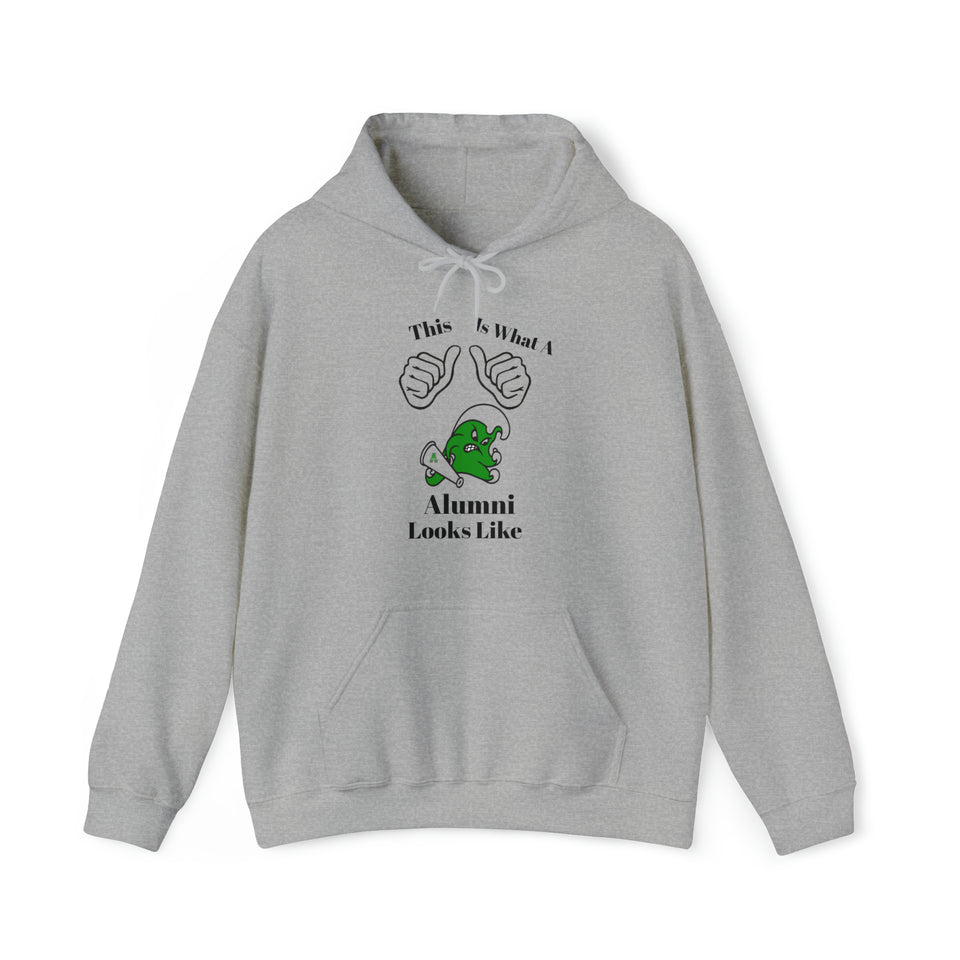 Ashbrook Alumni Unisex Heavy Blend™ Hooded Sweatshirt