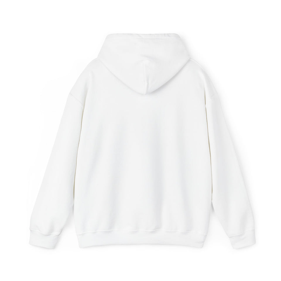 Lake Norman Charter School Unisex Heavy Blend™ Hooded Sweatshirt