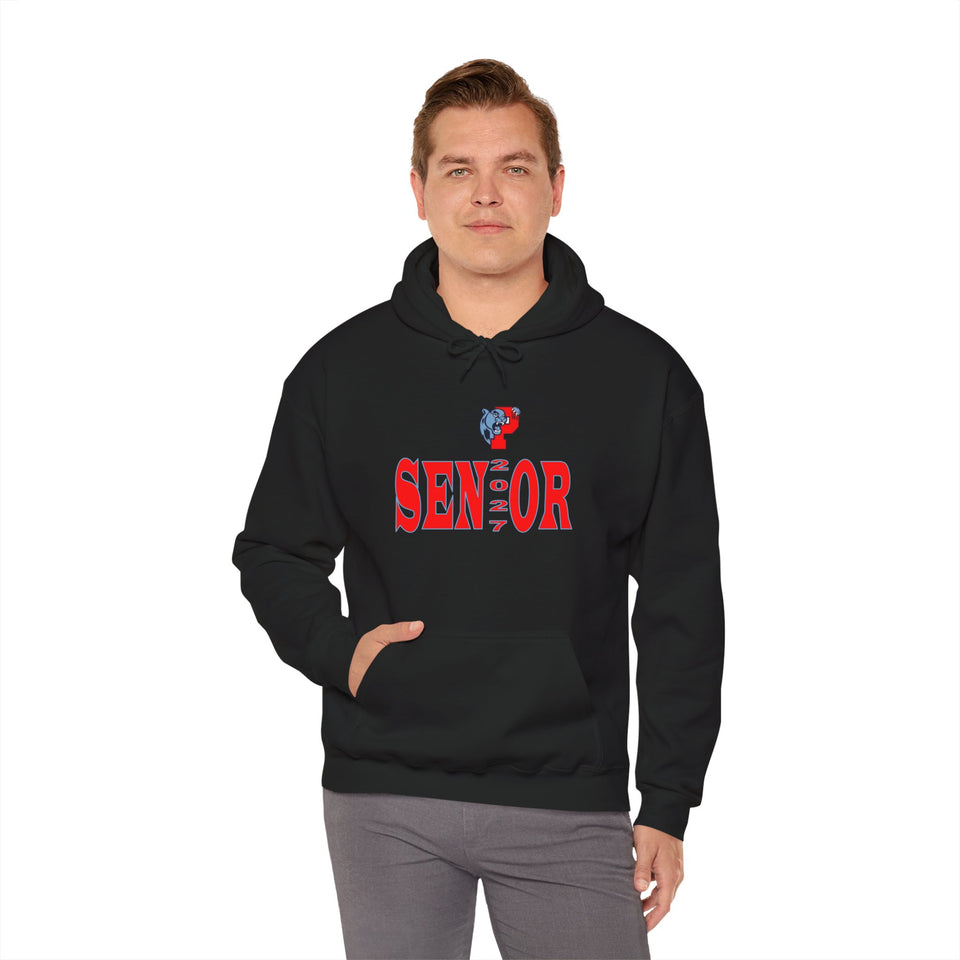 Piedmont HS Senior 2027 Unisex Heavy Blend™ Hooded Sweatshirt