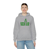 Ashbrook HS Senior 2027 Unisex Heavy Blend™ Hooded Sweatshirt