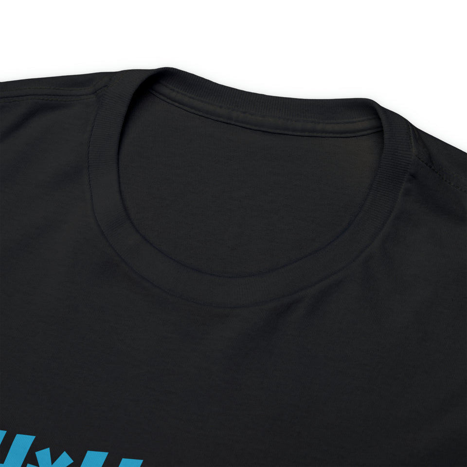Carolina Panthers Football Unisex Heavy Cotton Tee