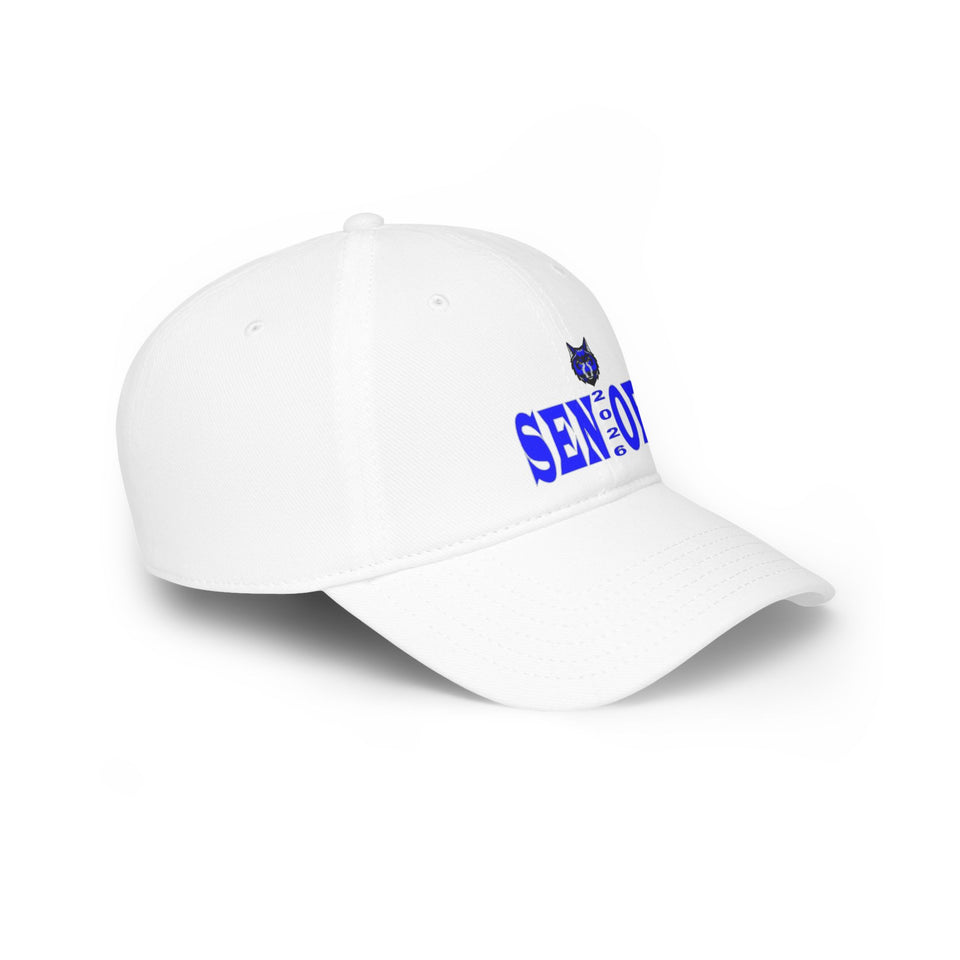 Parkwood HS Low Profile Baseball Cap