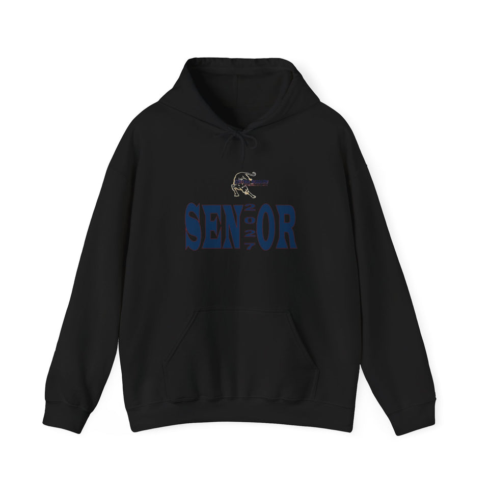 Central Academy of Tech & Arts Senior 2027 Unisex Heavy Blend™ Hooded Sweatshirt