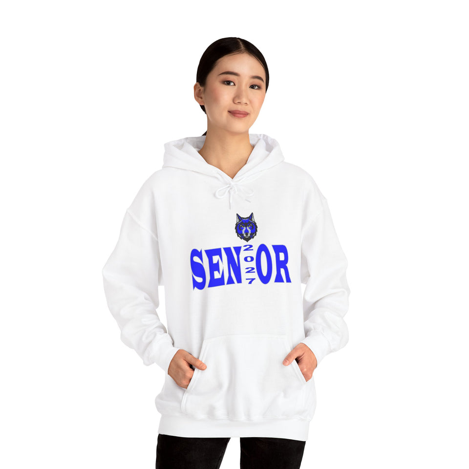 Parkwood HS Senior 2027 Unisex Heavy Blend™ Hooded Sweatshirt