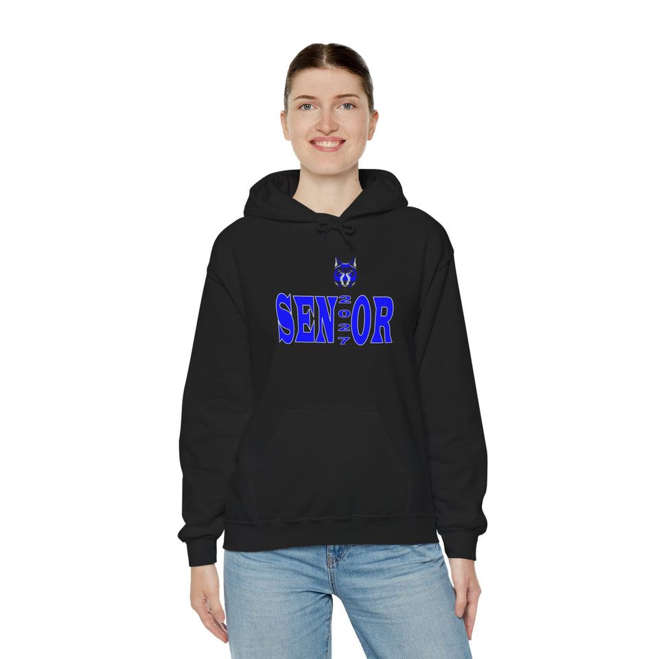 Parkwood HS Senior 2027 Unisex Heavy Blend™ Hooded Sweatshirt