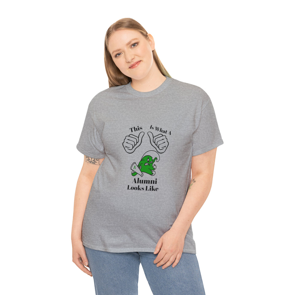 Ashbrook Alumni Unisex Heavy Cotton Tee
