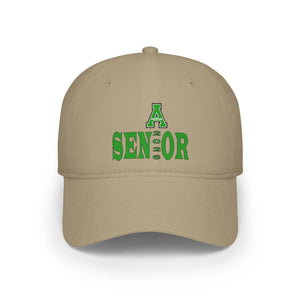 Ashbrook HS Low Profile Baseball Cap