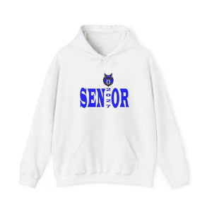 Parkwood HS Senior 2027 Unisex Heavy Blend™ Hooded Sweatshirt