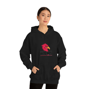 Hawthorne Academy Unisex Heavy Blend™ Hooded Sweatshirt