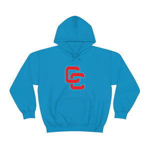 Charlotte Catholic Unisex Heavy Blend™ Hooded Sweatshirt