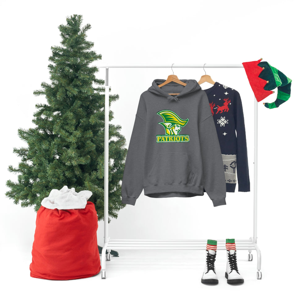 Independence Unisex Heavy Blend™ Hooded Sweatshirt
