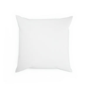 UNCC ALUMNI Cushion