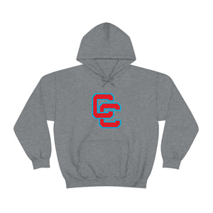 Charlotte Catholic Unisex Heavy Blend™ Hooded Sweatshirt