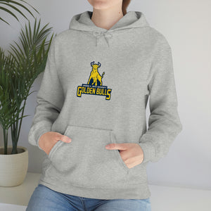 JCSU Unisex Heavy Blend™ Hooded Sweatshirt