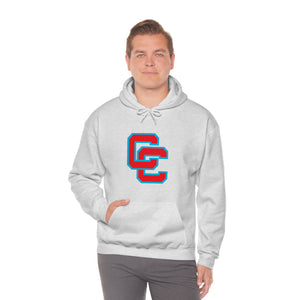 Charlotte Catholic Unisex Heavy Blend™ Hooded Sweatshirt
