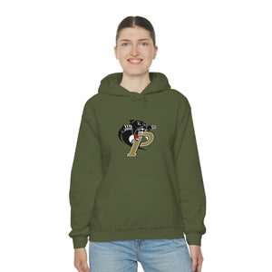 Providence HS Unisex Heavy Blend™ Hooded Sweatshirt