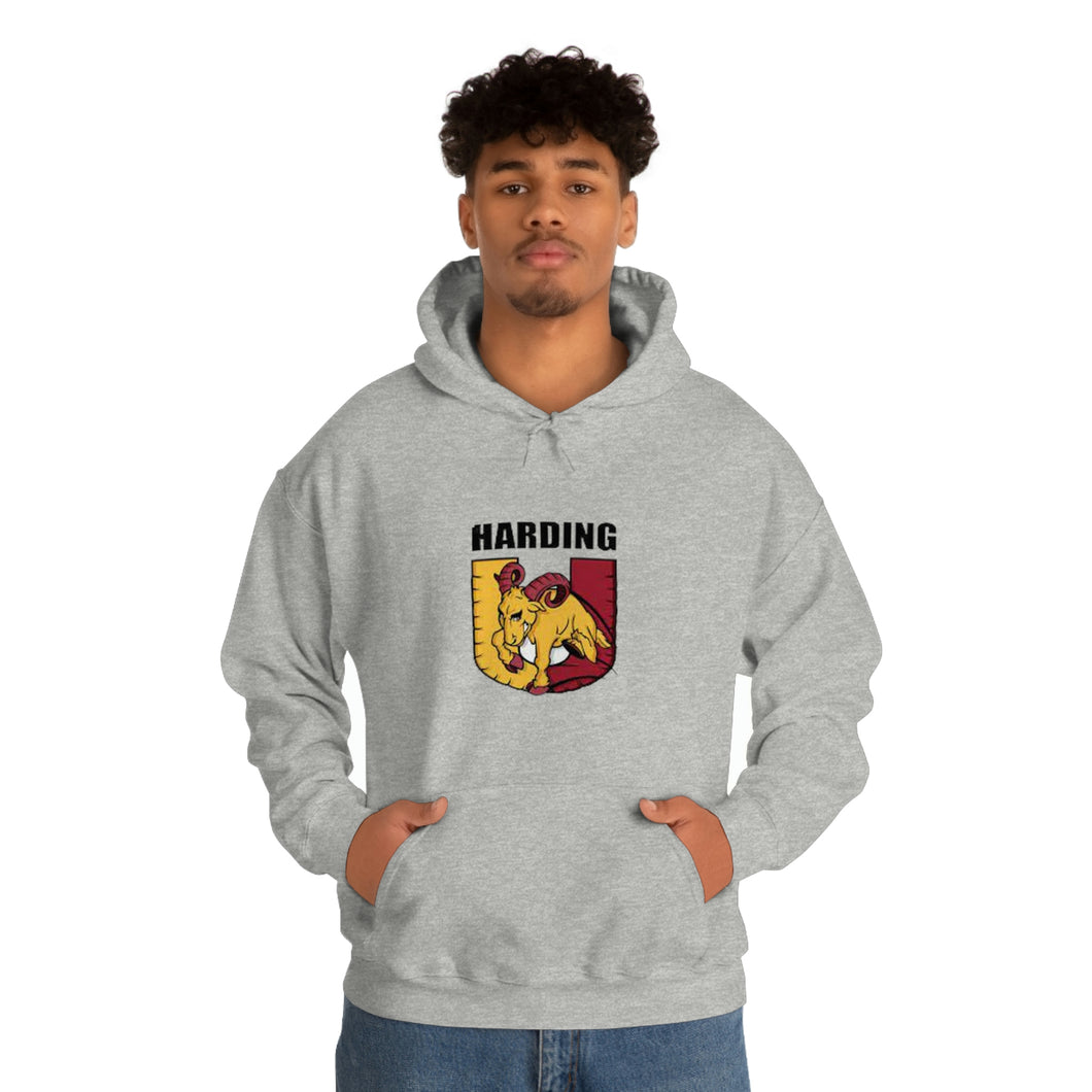 Harding University Unisex Heavy Blend™ Hooded Sweatshirt