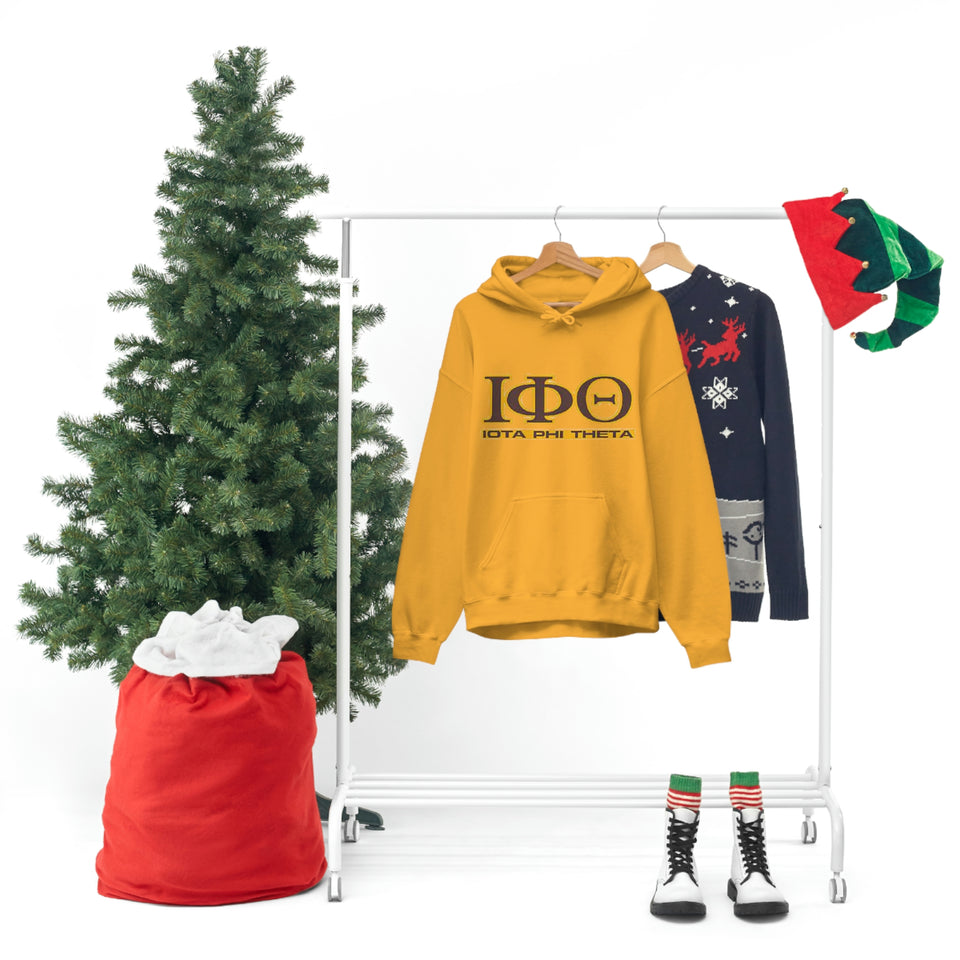 Iota Phi Theta Hooded Sweatshirt