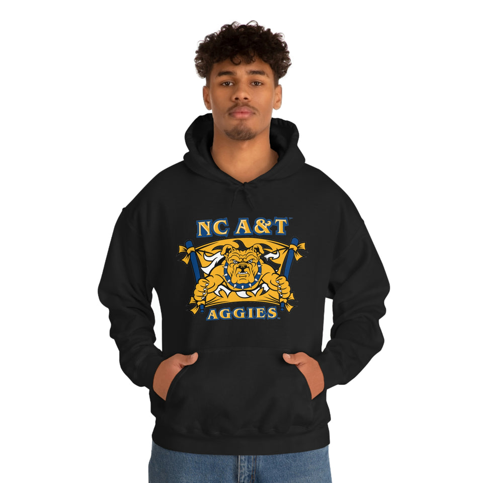 NC A&T Hooded Sweatshirt