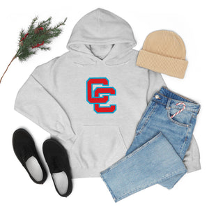 Charlotte Catholic Unisex Heavy Blend™ Hooded Sweatshirt
