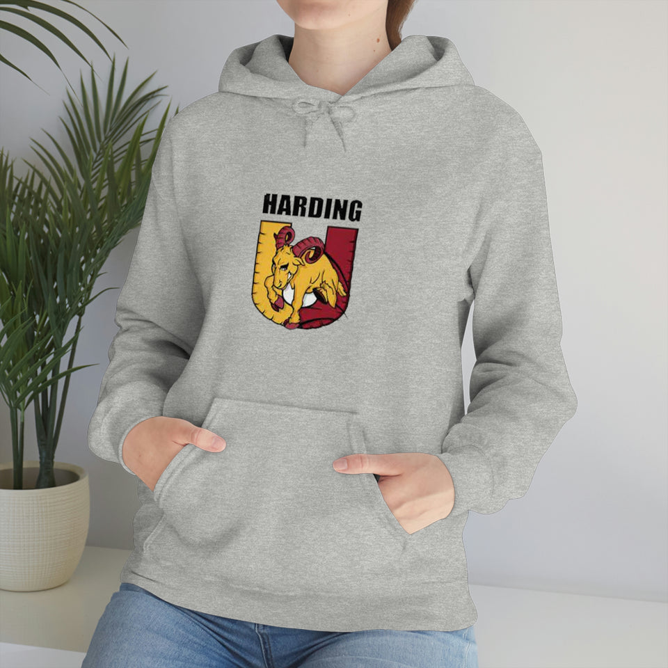 Harding University Unisex Heavy Blend™ Hooded Sweatshirt