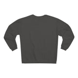 UNCC Class of 2023 Unisex Crew Neck Sweatshirt