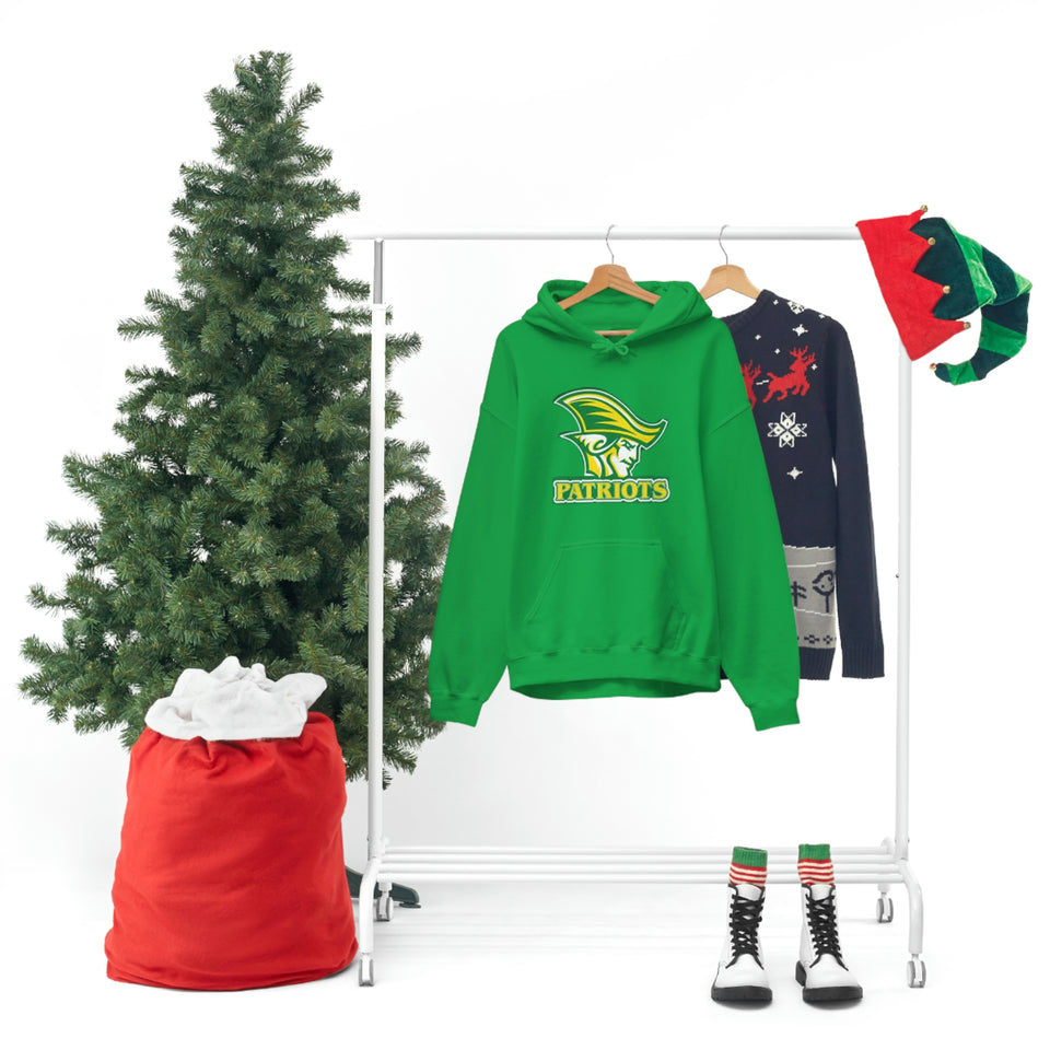 Independence Unisex Heavy Blend™ Hooded Sweatshirt