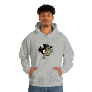 Providence HS Unisex Heavy Blend™ Hooded Sweatshirt