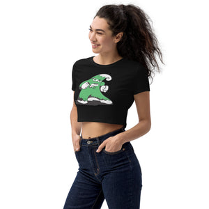 Ashbrook Organic Crop Top